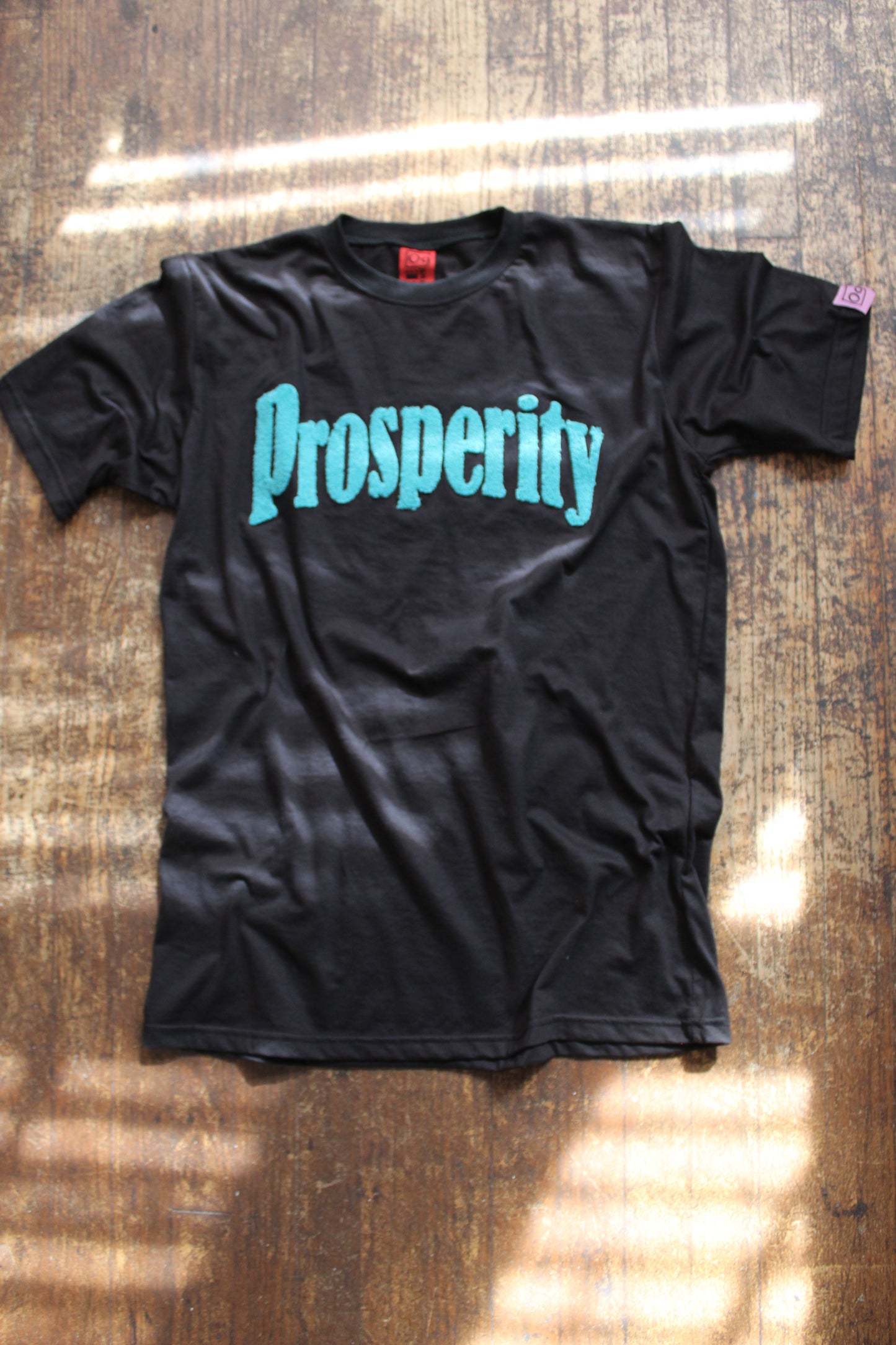 PROSPERITY Chenille Tee